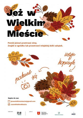 jeż w mieście 1-001