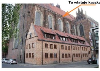 To prawdziwa kaczka dziwaczka, złożyła jajka.. w kościele