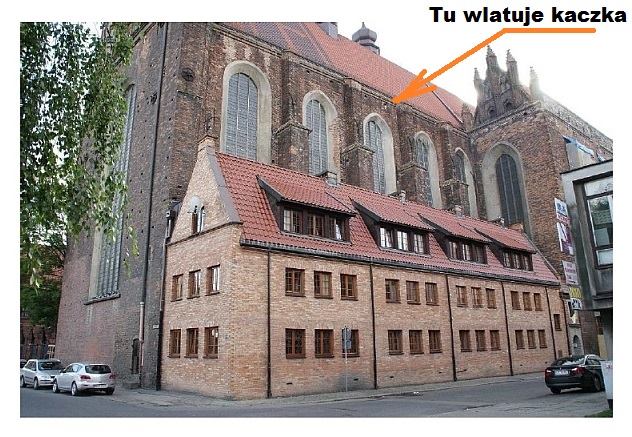 To prawdziwa kaczka dziwaczka, złożyła jajka.. w kościele