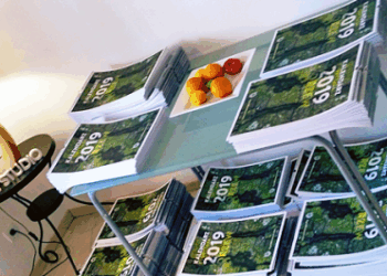 W Sopocie powstał „Wyczesany las”. To kalendarz, który ma zasadzić 2019 drzew w 2019 roku