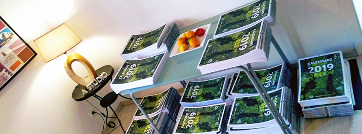 W Sopocie powstał „Wyczesany las”. To kalendarz, który ma zasadzić 2019 drzew w 2019 roku