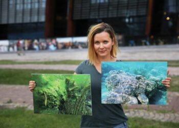 „Zasmuca mnie, że masowa turystyka niszczy raj na Ziemi”. Wystawa „Głos Laguny” Kamili Chomicz