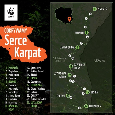 160 kilometrów i siedem dni pieszej wędrówki. Rafał Król opowiada jak to jest w tej Puszczy Karpackiej