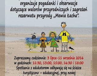 Na Wyspie Sobieszewskiej codziennie można wybrać się z ornitologami na oglądanie ptaków