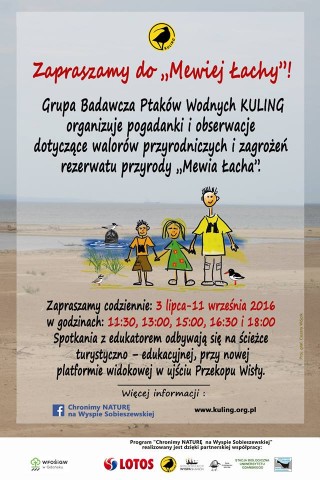 Na Wyspie Sobieszewskiej codziennie można wybrać się z ornitologami na oglądanie ptaków