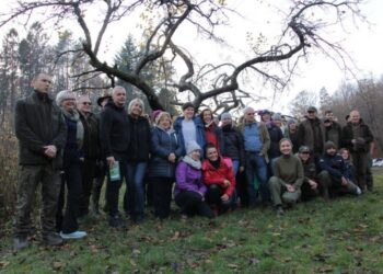 Na jabłka będzie można wybrać się do lasu. Owocowa Arka powstała w Młynkach koło Gniewowa