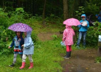 W takim przedszkolu nie ma zabawek, dzieci bawią sie tym co znajdą w lesie. Pierwsze leśne przedszkole powstaje w Trójmieście