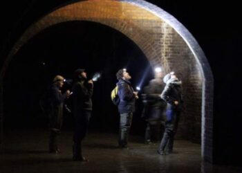 Na Pomorzu rozpoczęło się coroczne zimowe liczenie nietoperzy. Zobacz w jakiej „podziemnej katedrze” żyją te ssaki