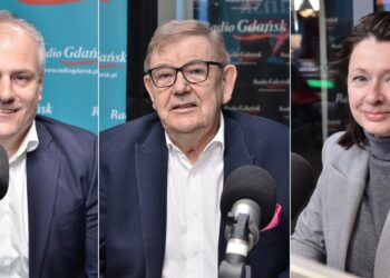 Czy europejski mechanizm obrony będzie korzystny dla Polski? Eksperci oceniają