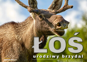 Łoś urodziwy brzydal – album z genialnymi zdjęciami i barwną opowieścią