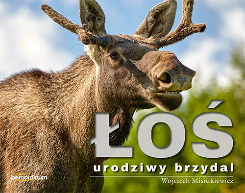 Łoś urodziwy brzydal – album z genialnymi zdjęciami i barwną opowieścią