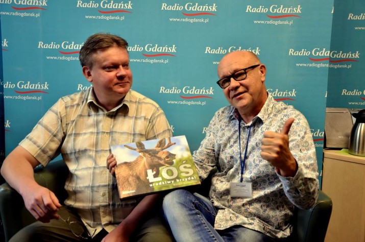 łoś urodziwy brzydal