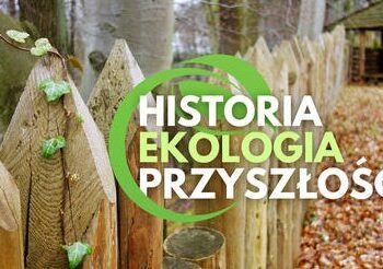 Śmierć, ekologia i entomologia. Rozmowa z Dorianem Słodkowskim