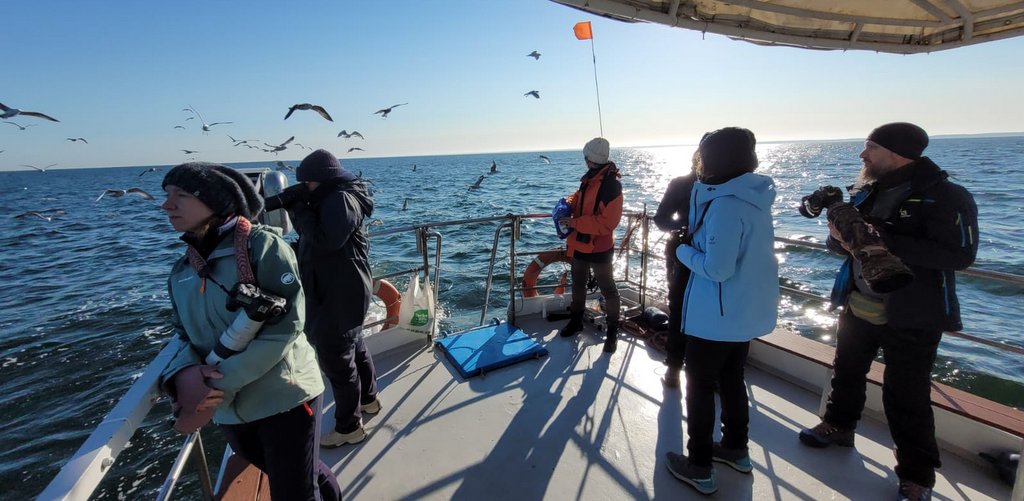 „Rejsy na Ptaki”, czyli co można zobaczyć zimą na Bałtyku