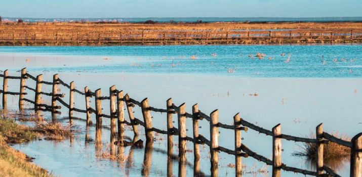 mariusz zarzycki beka