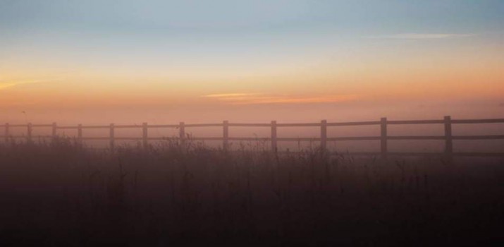 Mariusz Zarzycki – obserwator ptaków w Bece zachwyca fotografiami. Robi zdjęcia zaledwie od trzech lat