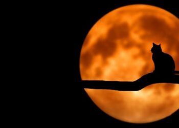 Na Marsie raczej nigdy nie było życia, ale najprawdopodobniej będzie – opowiada astronom Jarosław Pióro