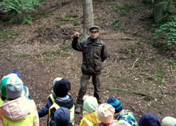 Las to nie tylko grzyby, można w nim znaleźć dużo smacznych rzeczy i to przez cały rok