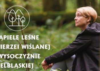 Leśne wycieczki po zdrowie. Czym są kąpiele leśne?