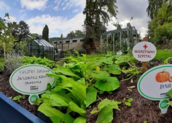 Ciekawe ogrodowe historie dla dzieci usłyszeć można w „Ogrodzie Matyldy”. Nowe miejsce w ZOO