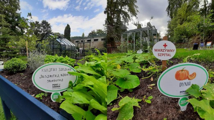 Ciekawe ogrodowe historie dla dzieci usłyszeć można w „Ogrodzie Matyldy”. Nowe miejsce w ZOO