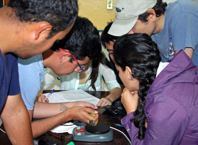 Ornitolodzy z Pomorza budują narodowy system obrączkowania ptaków w Meksyku