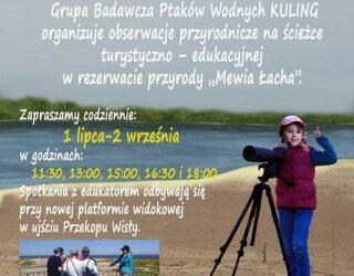 Czy wiecie, że są ptaki lęgnace się na plażach? Chodzi o to żeby nie zadeptać ich domów