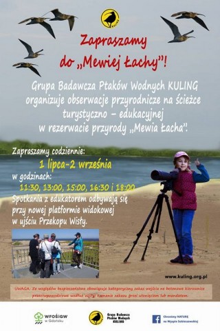 Czy wiecie, że są ptaki lęgnace się na plażach? Chodzi o to żeby nie zadeptać ich domów