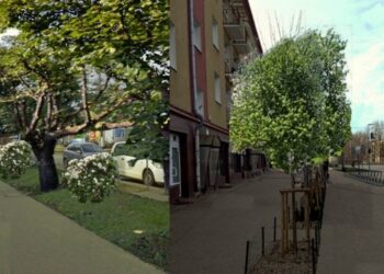 Zielone i rowerowe projekty w Gdyni. Rozmawiamy o Budżecie Obywatelskim