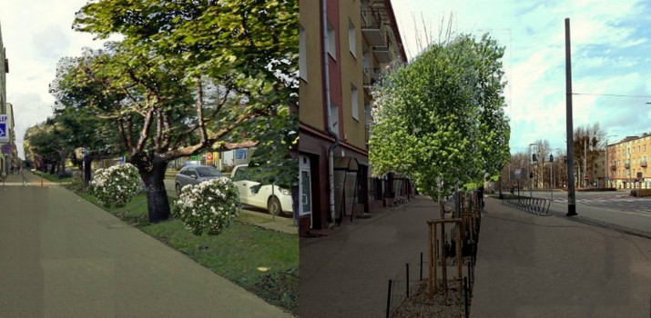 Zielone i rowerowe projekty w Gdyni. Rozmawiamy o Budżecie Obywatelskim