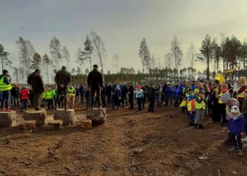 1600 osób sadziło las w okolicach Lipusza. Akcja „Do nasadzenia” przeszła najśmielsze oczekiwania organizatorów