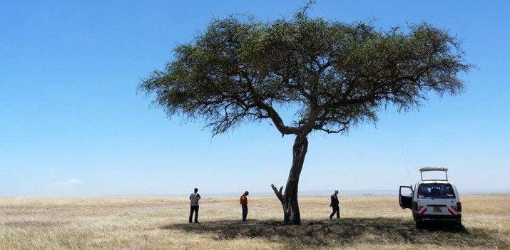 nietoperki 3 fot Konrad Bidziński
