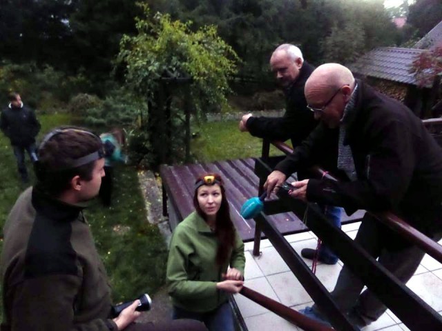 Nietoperze – zwierzęta na które miło popatrzeć i warto mieć na strychu