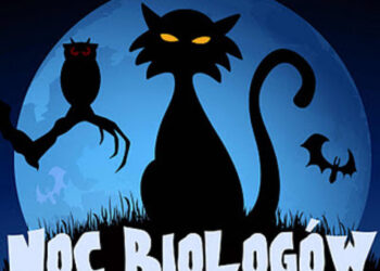 Zanieczyszczenie światłem – co to takiego? Przyczynia się nawet do powstawania nowotworów