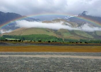 „Zostały mi do zobaczenia cztery gatunki mew” – rozmowa z Szymonem Bzomą