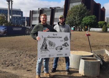 Ogród biocenotyczny – co to takiego?