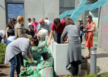 W Gdyni powstał ogród którego nie trzeba podlewać. To pierwszy w mieście ogród deszczowy