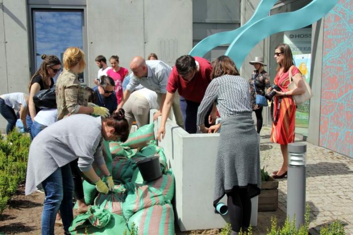 W Gdyni powstał ogród którego nie trzeba podlewać. To pierwszy w mieście ogród deszczowy