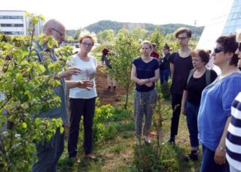 Warsztaty ogrodnictwa miejskiego i wielki piknik – ciekawe imprezy ekologiczne w Gdańsku