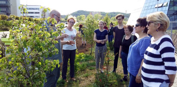 Warsztaty ogrodnictwa miejskiego i wielki piknik – ciekawe imprezy ekologiczne w Gdańsku