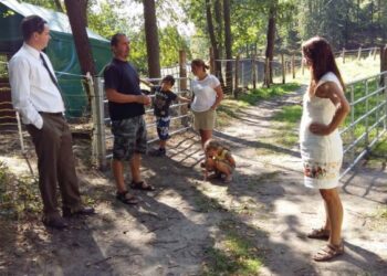 Kozy i owce w podkwidzyńskim lesie chronią ostnicę Jana