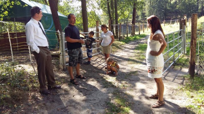 Kozy i owce w podkwidzyńskim lesie chronią ostnicę Jana