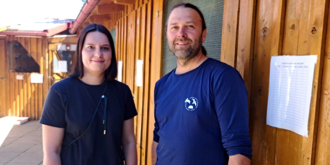 Nie porywajcie dzieci ptasim rodzicom. Ostoja apeluje i zaprasza na spacer ornitologiczny