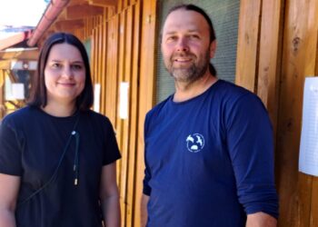 Nie porywajcie dzieci ptasim rodzicom. Ostoja apeluje i zaprasza na spacer ornitologiczny