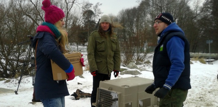 Skorzysta na tym mnóstwo „dzikusów”. Ostoja zbiera pieniądze na aparat do narkozy dla zwierząt
