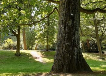 „Nie jestem biologiem, ale nauczyłam się jej z ciekawości i miłości” – Wycieczki przyrodnicze z Gosią Zamorską