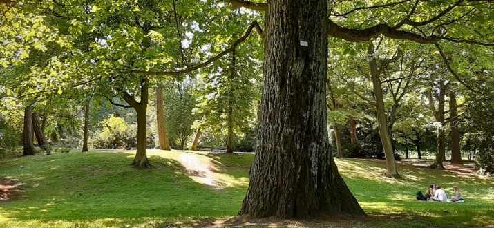 „Nie jestem biologiem, ale nauczyłam się jej z ciekawości i miłości” – Wycieczki przyrodnicze z Gosią Zamorską