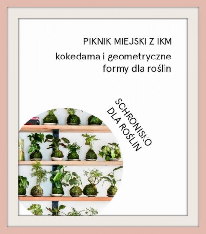 piknik miejski 2