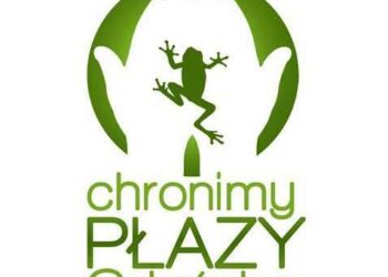 Rozmowa o tym jak płazy przez Gdańsk wędrują i jak trzeba im pomagać w podróży