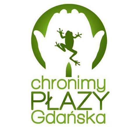 Rozmowa o tym jak płazy przez Gdańsk wędrują i jak trzeba im pomagać w podróży